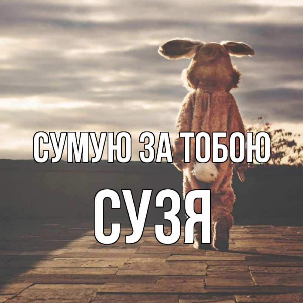 Открытка на каждый день з підписом, Сузя Сумую за тобою даже в костюме зайца Прикольна листівка з побажанням онлайн скачати безкоштовно 