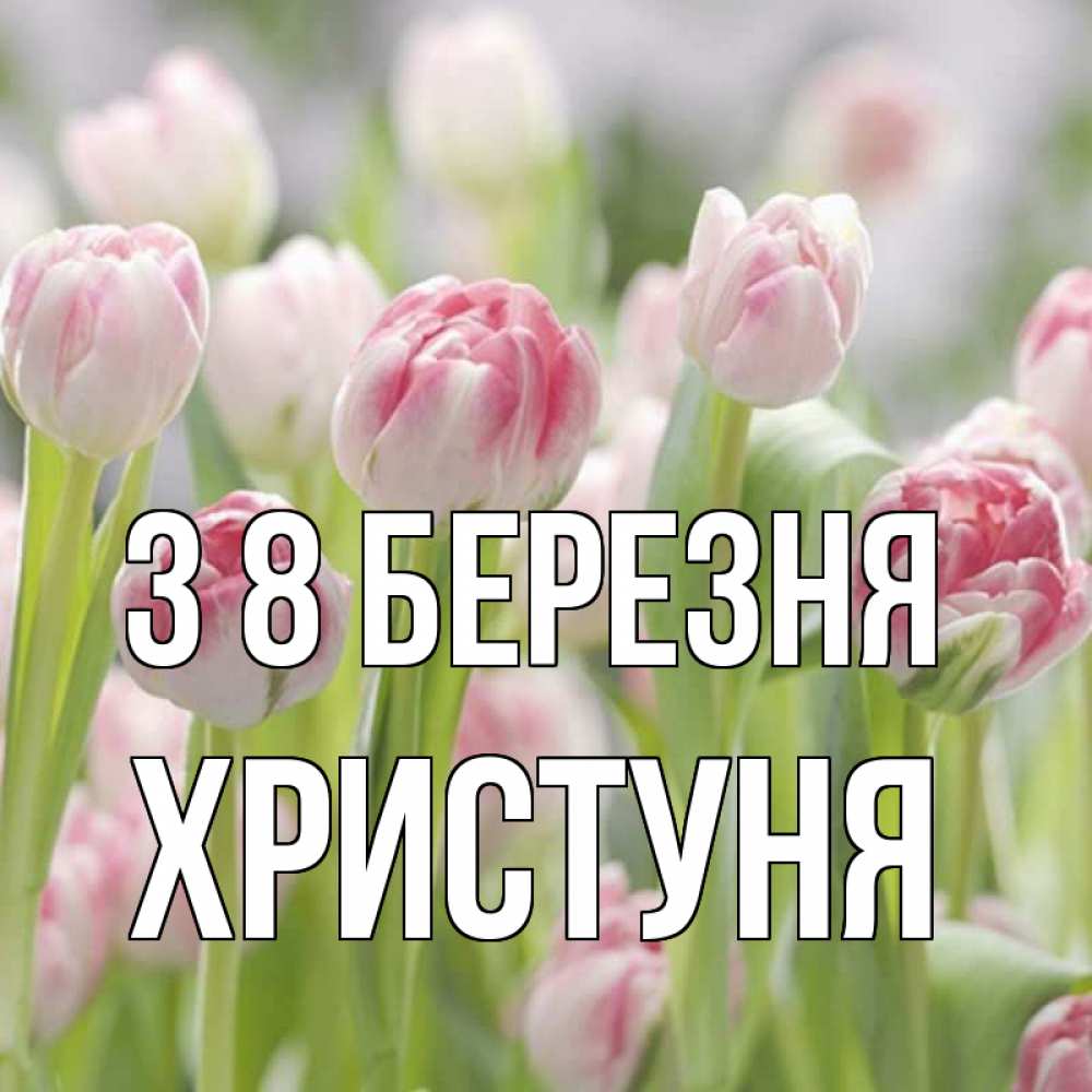 Открытка на каждый день з підписом, Христуня З 8 БЕРЕЗНЯ цветы Прикольна листівка з побажанням онлайн скачати безкоштовно 