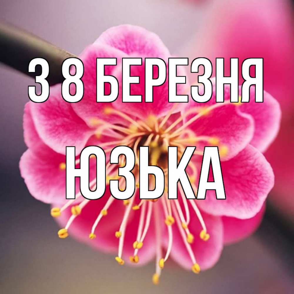 Открытка на каждый день з підписом, Юзька З 8 БЕРЕЗНЯ цветы Прикольна листівка з побажанням онлайн скачати безкоштовно 