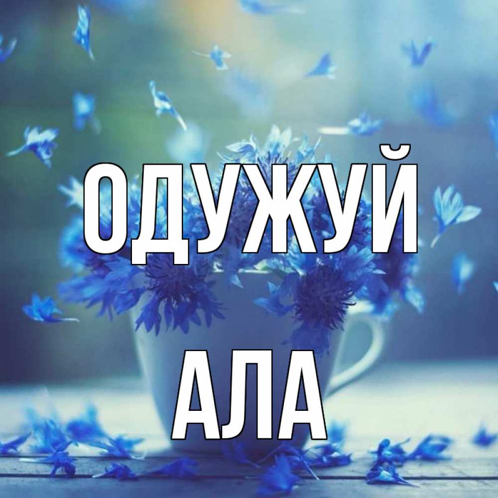 Открытка на каждый день з підписом, Ала Одужуй кружка с зельем и цветами Прикольна листівка з побажанням онлайн скачати безкоштовно 