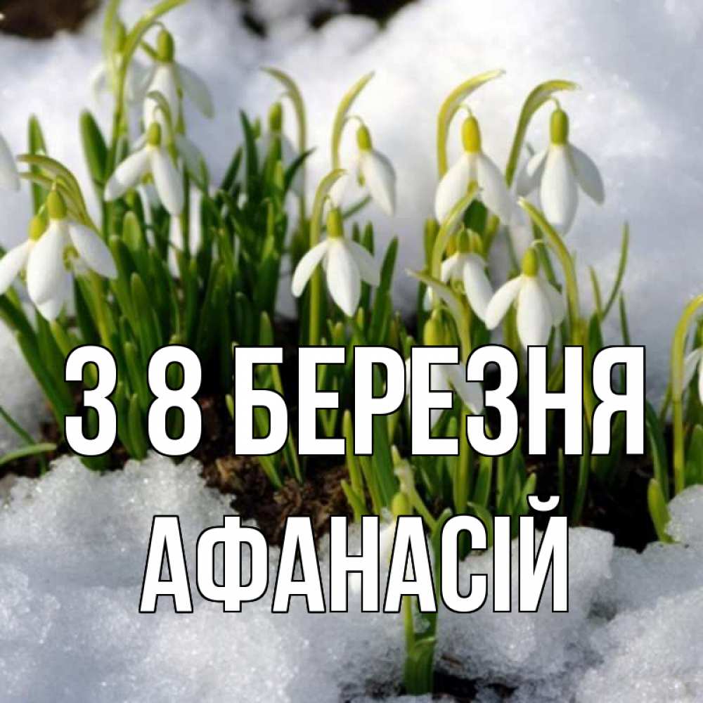 Открытка на каждый день з підписом, Афанасій З 8 БЕРЕЗНЯ цветы весенние Прикольна листівка з побажанням онлайн скачати безкоштовно 