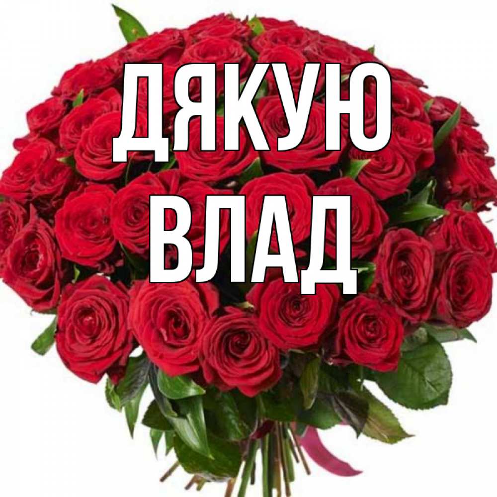 Открытка на каждый день з підписом, Влад Дякую букет красных роз Прикольна листівка з побажанням онлайн скачати безкоштовно 
