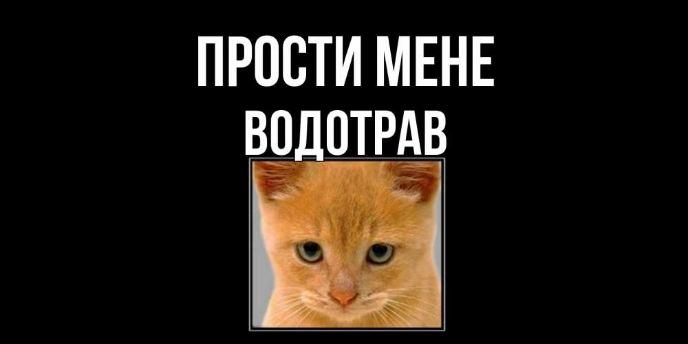 Открытка на каждый день з підписом, Водотрав Прости мене рыжий грустный кот просит прощения Прикольна листівка з побажанням онлайн скачати безкоштовно 