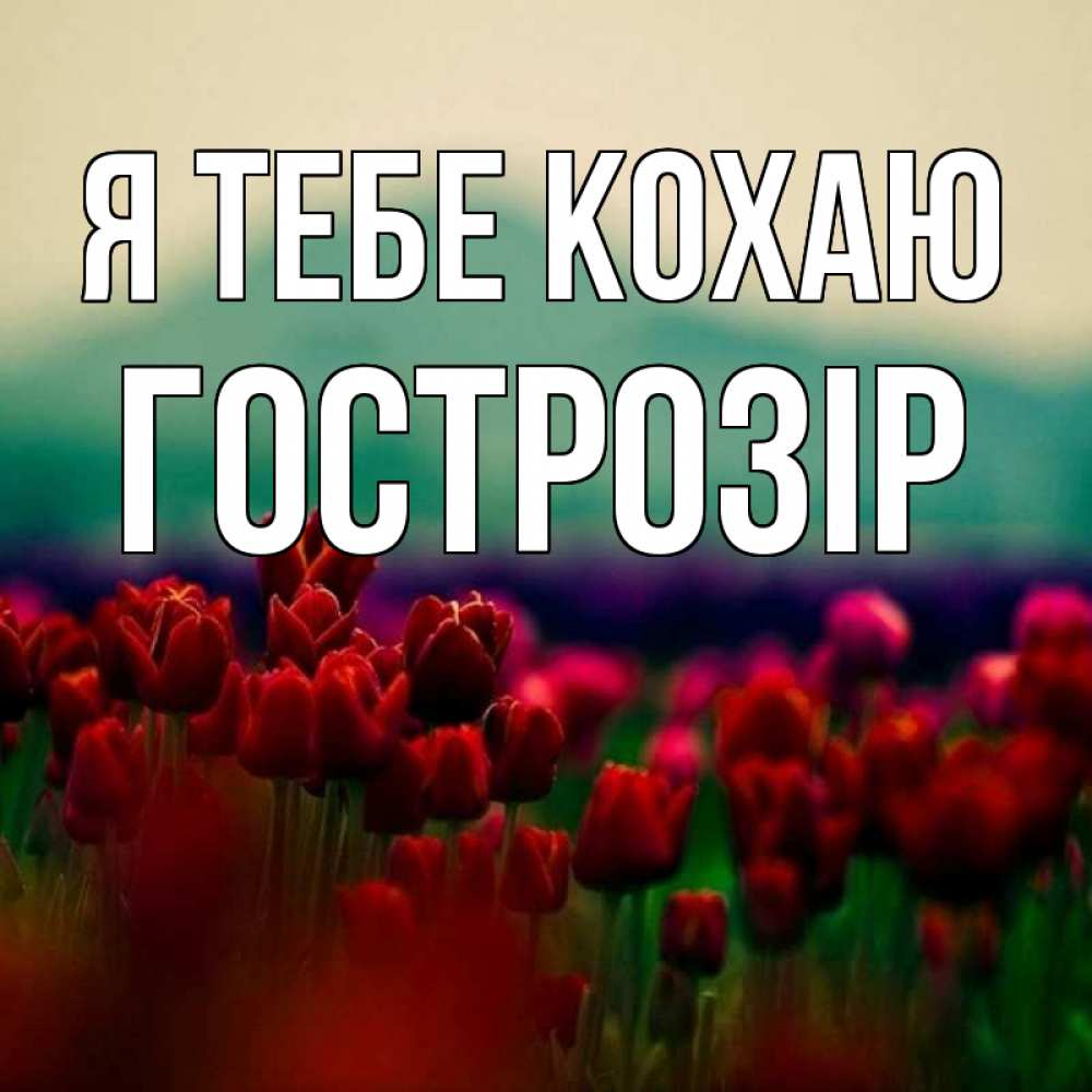 Открытка на каждый день з підписом, Гострозір Я тебе кохаю тюльпаны 4 Прикольна листівка з побажанням онлайн скачати безкоштовно 