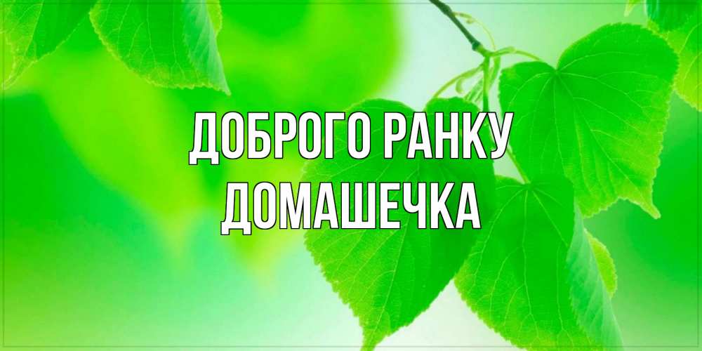 Открытка на каждый день з підписом, Домашечка Доброго ранку доброе утро с березовыми листьями Прикольна листівка з побажанням онлайн скачати безкоштовно 