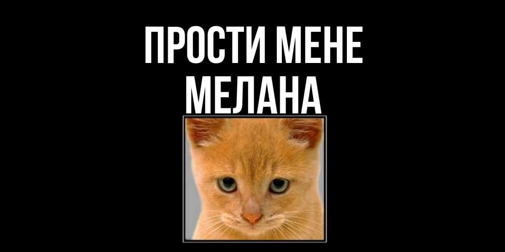 Открытка на каждый день з підписом, Мелана Прости мене рыжий грустный кот просит прощения Прикольна листівка з побажанням онлайн скачати безкоштовно 
