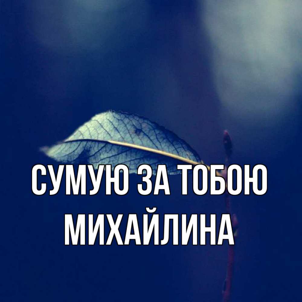 Открытка на каждый день з підписом, Михайлина Сумую за тобою одна ветка 1 Прикольна листівка з побажанням онлайн скачати безкоштовно 