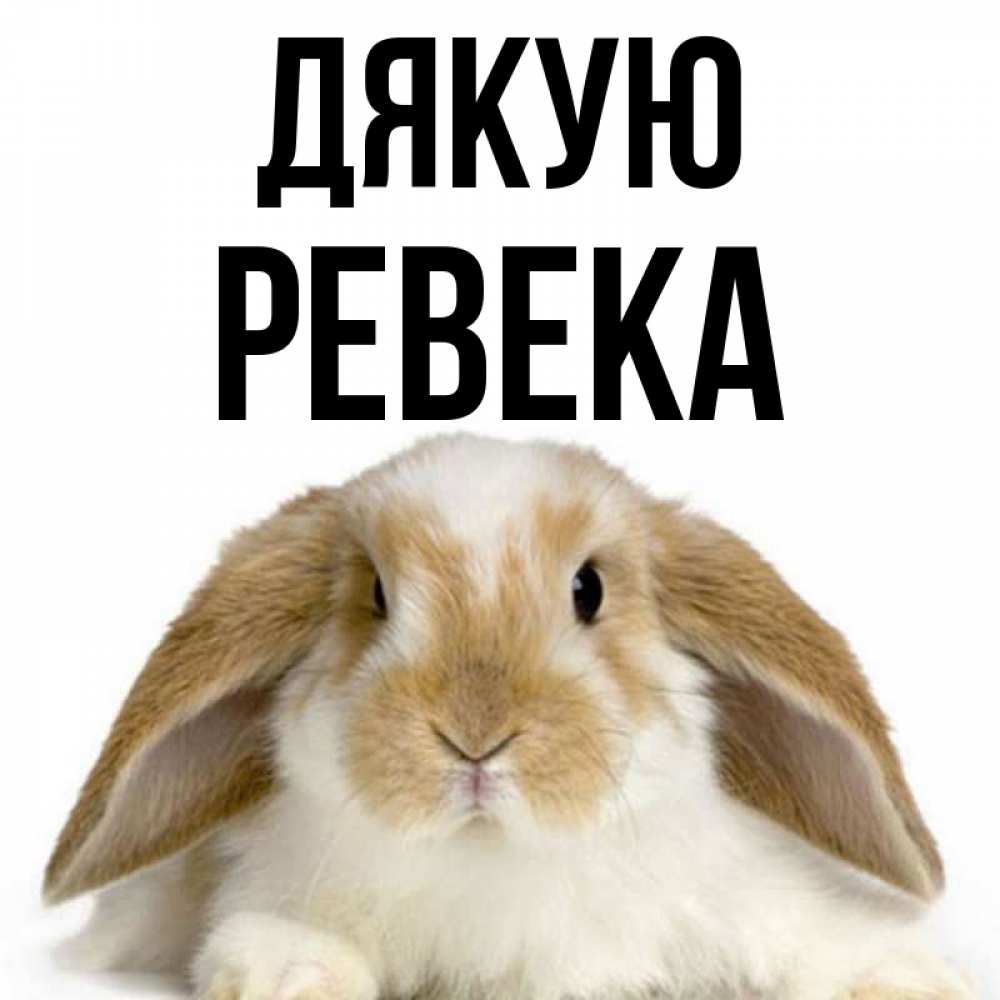Открытка на каждый день з підписом, Ревека Дякую коричнево белый заяц Прикольна листівка з побажанням онлайн скачати безкоштовно 