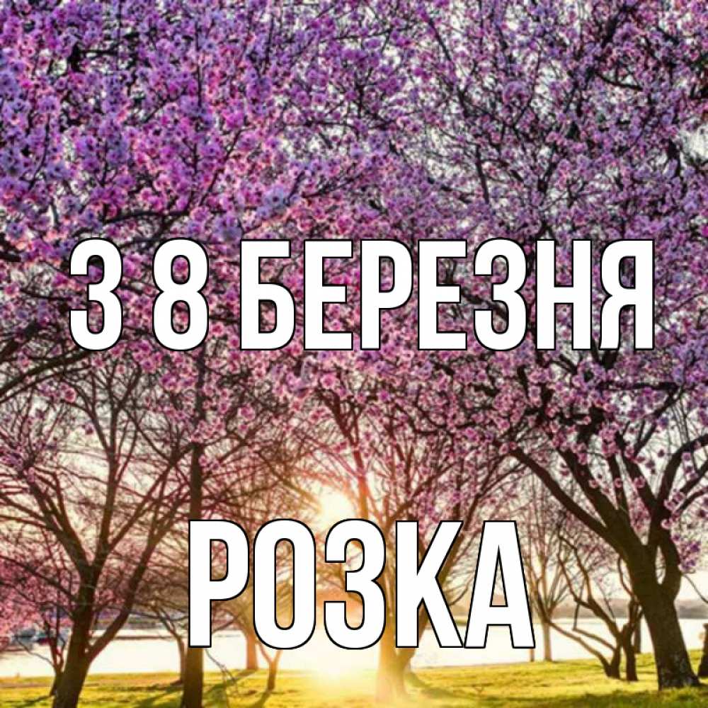 Открытка на каждый день з підписом, Розка З 8 БЕРЕЗНЯ международный женский день Прикольна листівка з побажанням онлайн скачати безкоштовно 