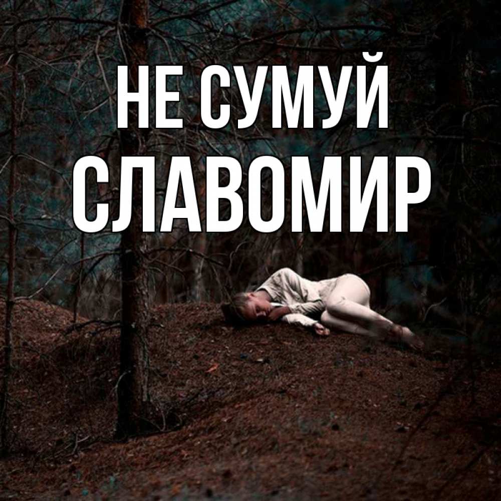 Открытка на каждый день з підписом, Славомир Не сумуй лес Прикольна листівка з побажанням онлайн скачати безкоштовно 