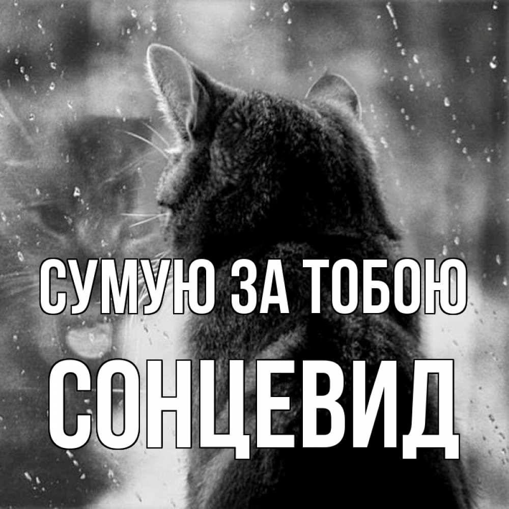 Открытка на каждый день з підписом, Сонцевид Сумую за тобою скорее ко мне приходи 1 Прикольна листівка з побажанням онлайн скачати безкоштовно 
