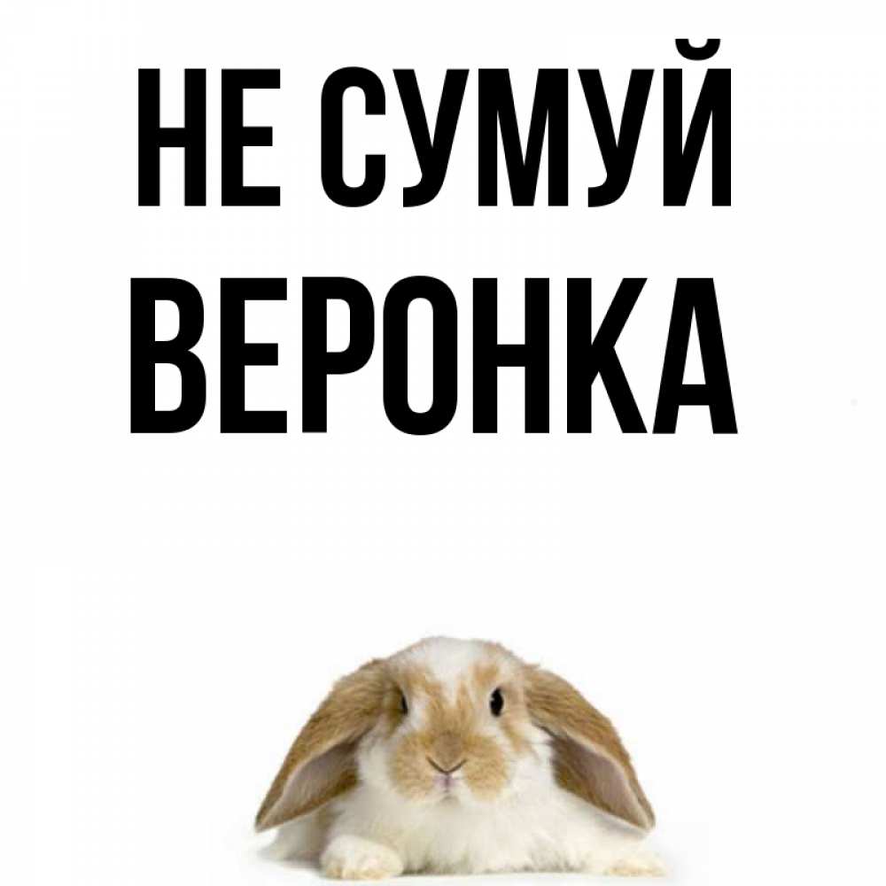 Открытка на каждый день з підписом, Веронка Не сумуй коричнево белый заяц с большими ушками Прикольна листівка з побажанням онлайн скачати безкоштовно 