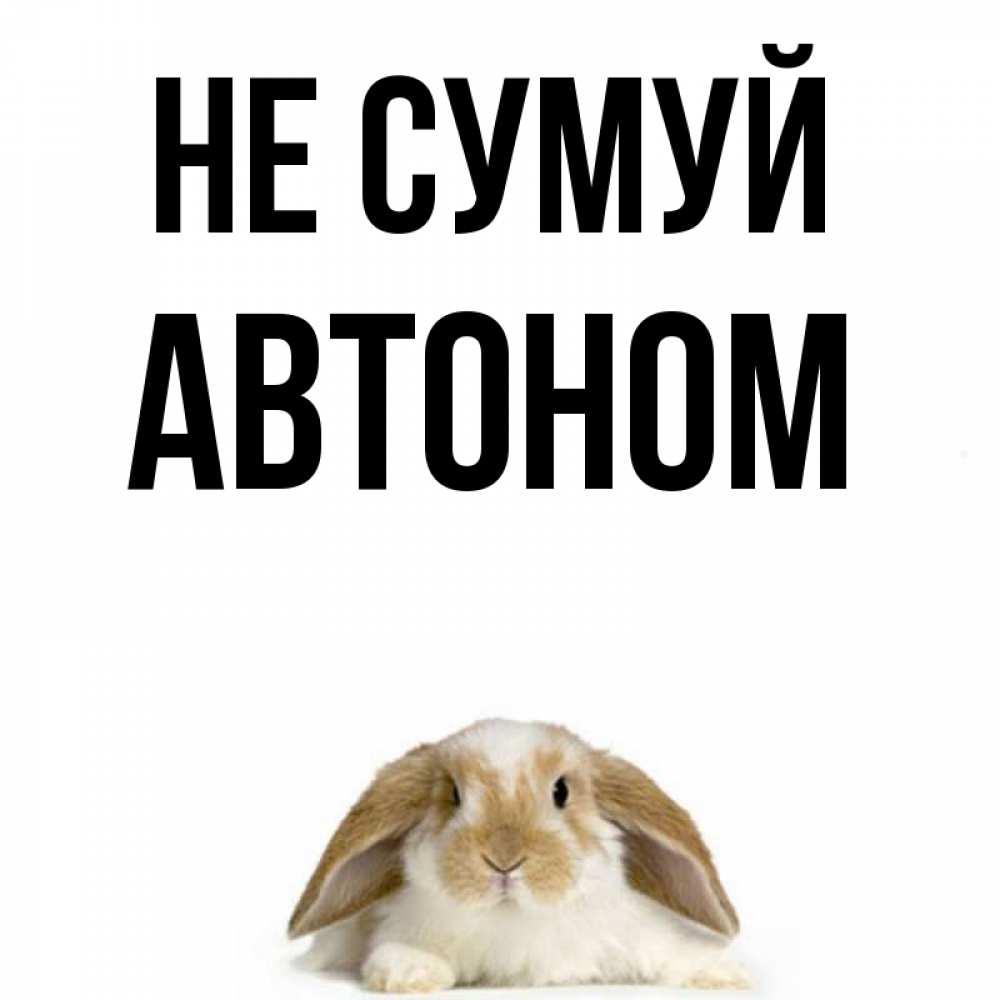 Открытка на каждый день з підписом, Автоном Не сумуй коричнево белый заяц с большими ушками Прикольна листівка з побажанням онлайн скачати безкоштовно 