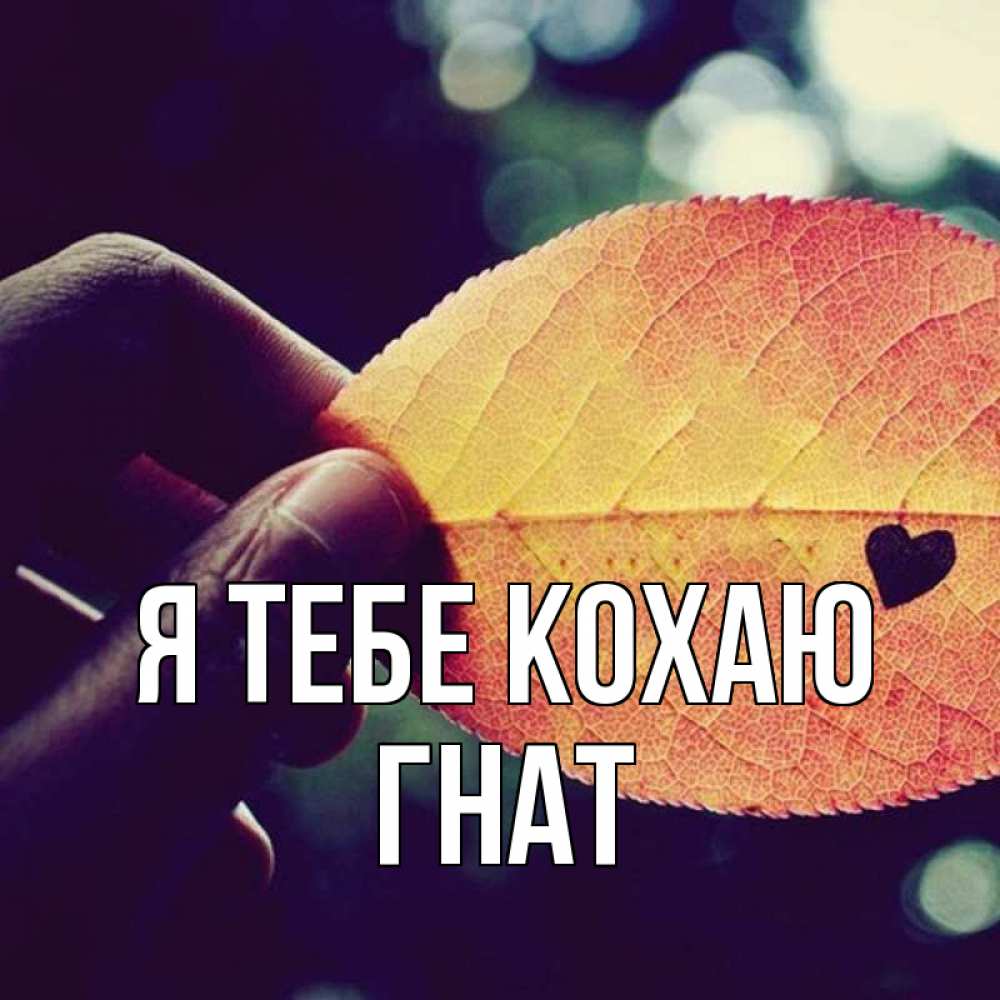 Открытка на каждый день з підписом, Гнат Я тебе кохаю держу лист Прикольна листівка з побажанням онлайн скачати безкоштовно 