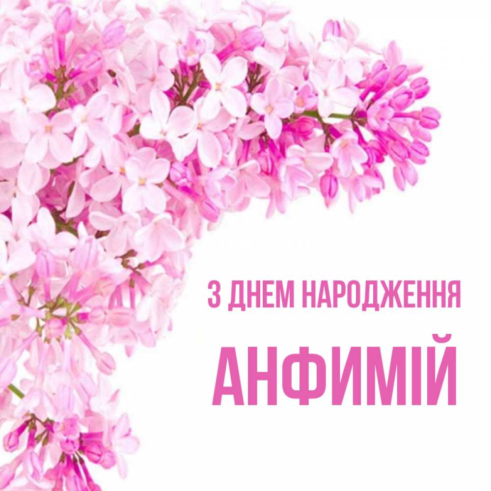 Открытка на каждый день з підписом, Анфимій З Днем народження Сирень на белом фоне Прикольна листівка з побажанням онлайн скачати безкоштовно 