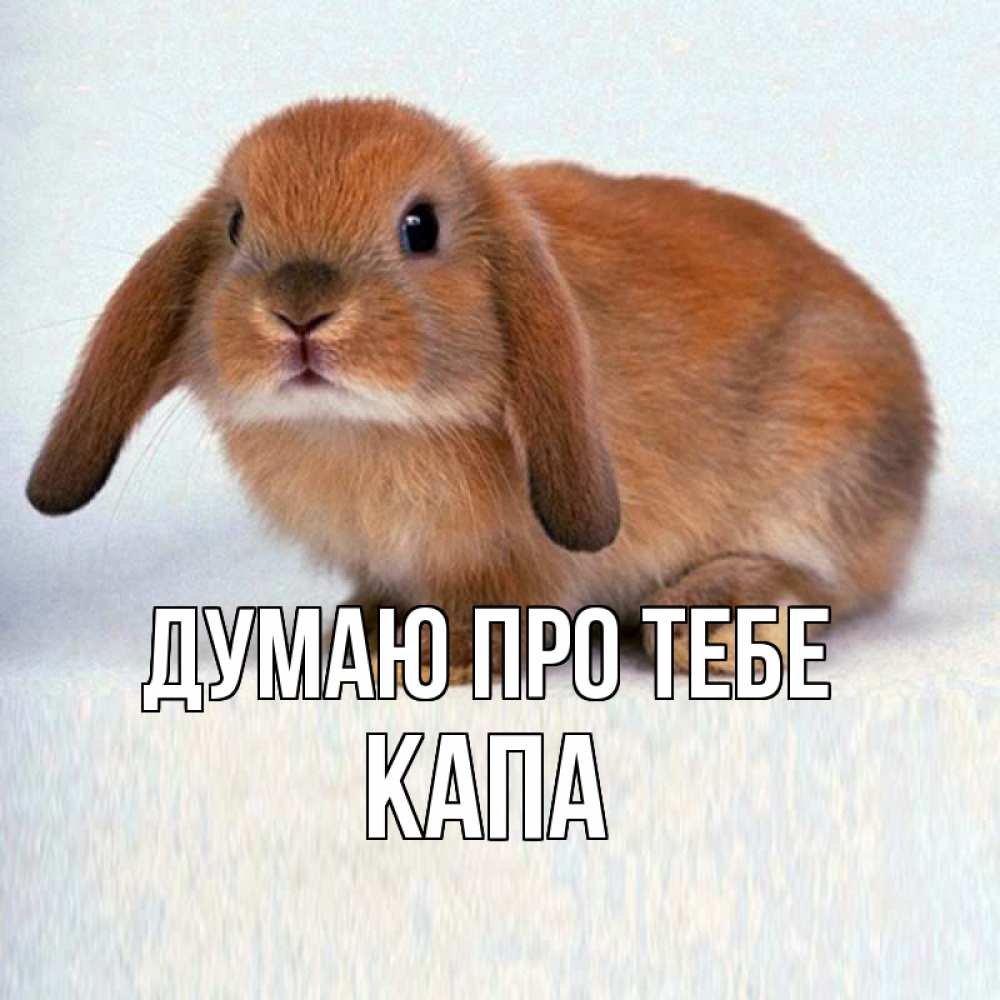 Открытка на каждый день з підписом, Капа Думаю про тебе кроль коричневый Прикольна листівка з побажанням онлайн скачати безкоштовно 
