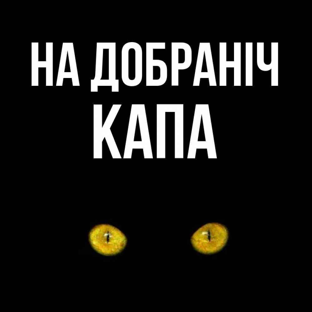 Открытка на каждый день з підписом, Капа На добраніч сладких снов бесстрашный мой дружочек Прикольна листівка з побажанням онлайн скачати безкоштовно 