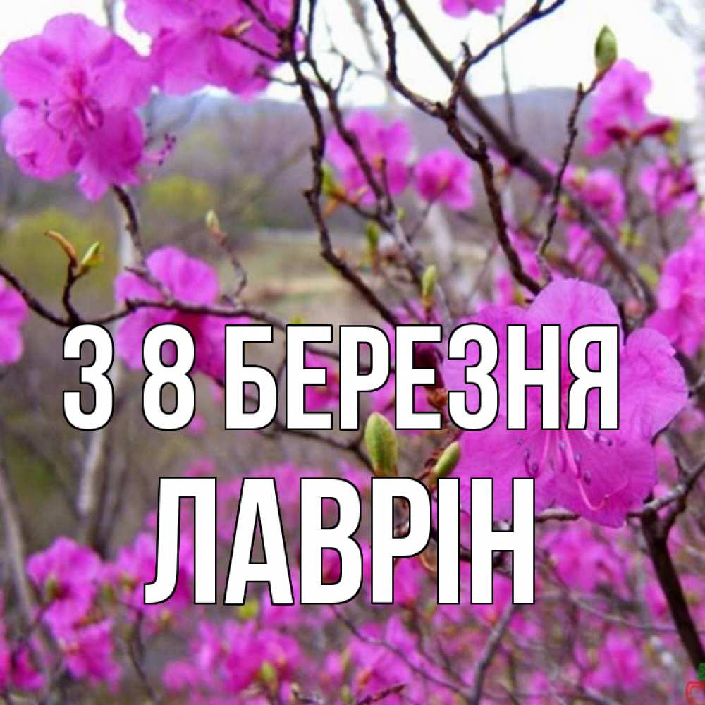 Открытка на каждый день з підписом, Лаврін З 8 БЕРЕЗНЯ международный женский день Прикольна листівка з побажанням онлайн скачати безкоштовно 