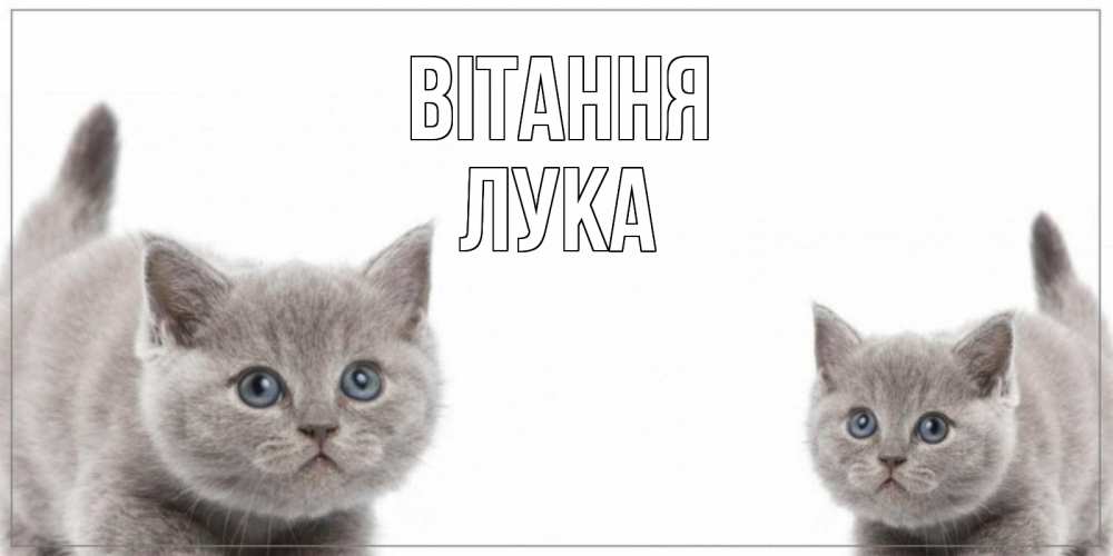 Открытка на каждый день з підписом, Лука Вітання коты Прикольна листівка з побажанням онлайн скачати безкоштовно 