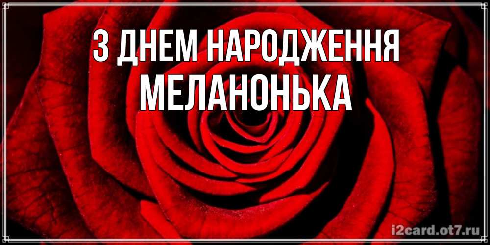 Открытка на каждый день з підписом, Меланонька З Днем народження алая роза Прикольна листівка з побажанням онлайн скачати безкоштовно 