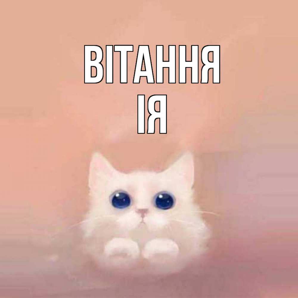 Открытка на каждый день з підписом, Ія Вітання котик белый в полете Прикольна листівка з побажанням онлайн скачати безкоштовно 