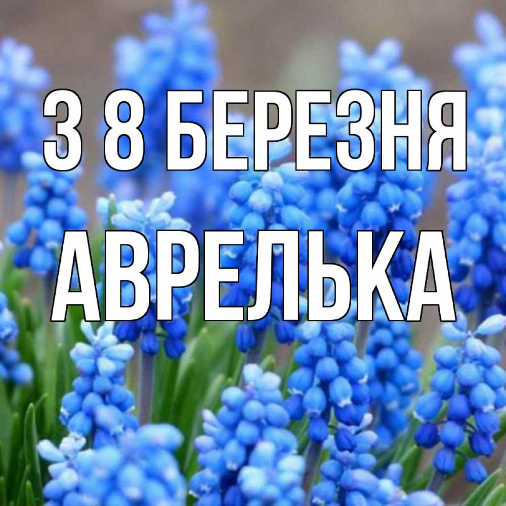 Открытка на каждый день з підписом, Аврелька З 8 БЕРЕЗНЯ Поздравительная открытка для женщин с цветами на праздничную дату Прикольна листівка з побажанням онлайн скачати безкоштовно 