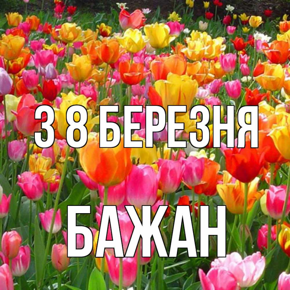 Открытка на каждый день з підписом, Бажан З 8 БЕРЕЗНЯ на международный женский день Прикольна листівка з побажанням онлайн скачати безкоштовно 