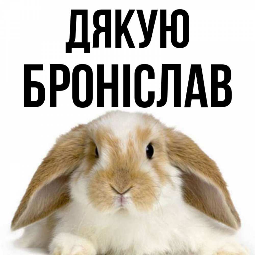 Открытка на каждый день з підписом, Броніслав Дякую коричнево белый заяц Прикольна листівка з побажанням онлайн скачати безкоштовно 