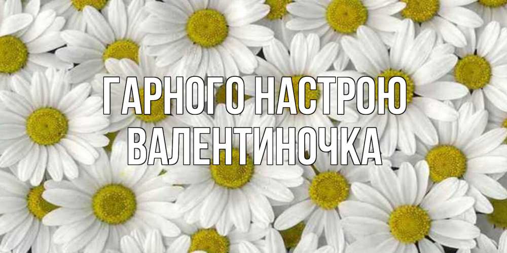 Открытка на каждый день з підписом, Валентиночка Гарного настрою поляна ромашек Прикольна листівка з побажанням онлайн скачати безкоштовно 