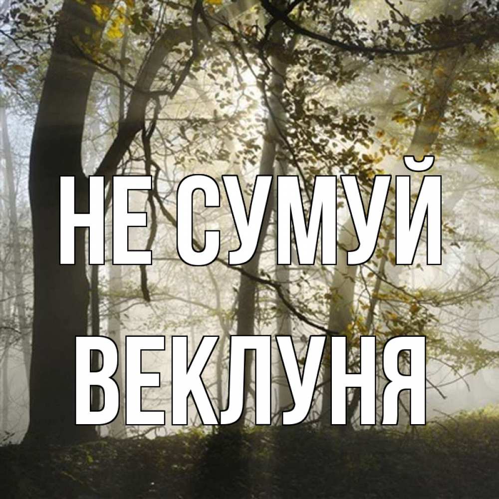 Открытка на каждый день з підписом, Веклуня Не сумуй лес и свет Прикольна листівка з побажанням онлайн скачати безкоштовно 