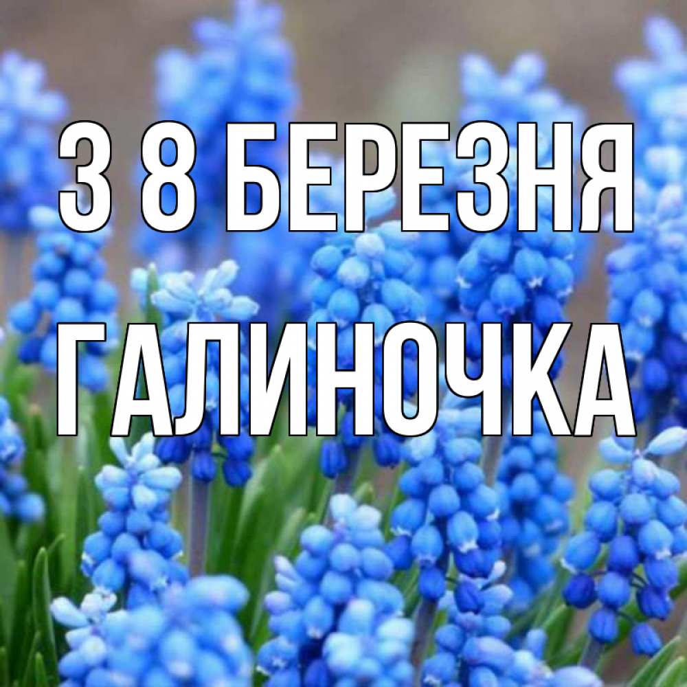 Открытка на каждый день з підписом, Галиночка З 8 БЕРЕЗНЯ Поздравительная открытка для женщин с цветами на праздничную дату Прикольна листівка з побажанням онлайн скачати безкоштовно 