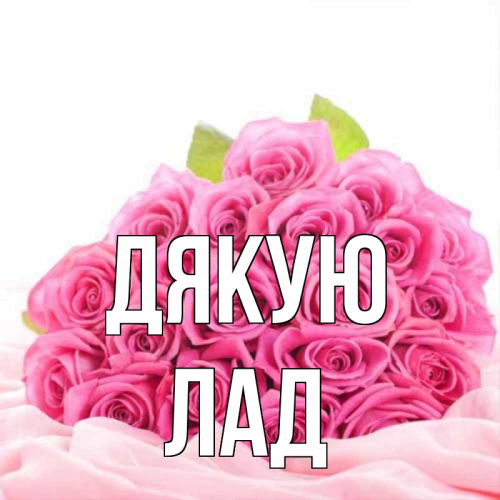 Открытка на каждый день з підписом, Лад Дякую розовые розы с подписью Прикольна листівка з побажанням онлайн скачати безкоштовно 