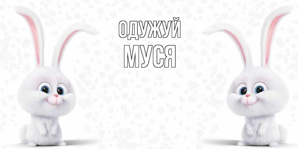 Открытка на каждый день з підписом, Муся Одужуй не болей с зайцем Прикольна листівка з побажанням онлайн скачати безкоштовно 