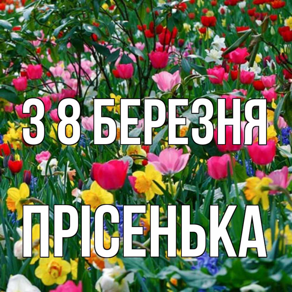 Открытка на каждый день з підписом, Прісенька З 8 БЕРЕЗНЯ с международным женским днем поздравления для женщины Прикольна листівка з побажанням онлайн скачати безкоштовно 
