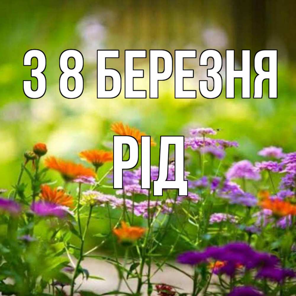 Открытка на каждый день з підписом, Рід З 8 БЕРЕЗНЯ цветы Прикольна листівка з побажанням онлайн скачати безкоштовно 