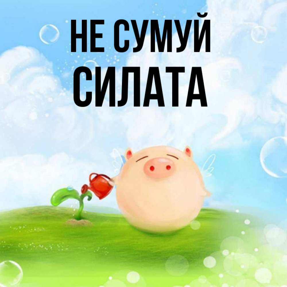 Открытка на каждый день з підписом, Силата Не сумуй поливает цветок порося Прикольна листівка з побажанням онлайн скачати безкоштовно 