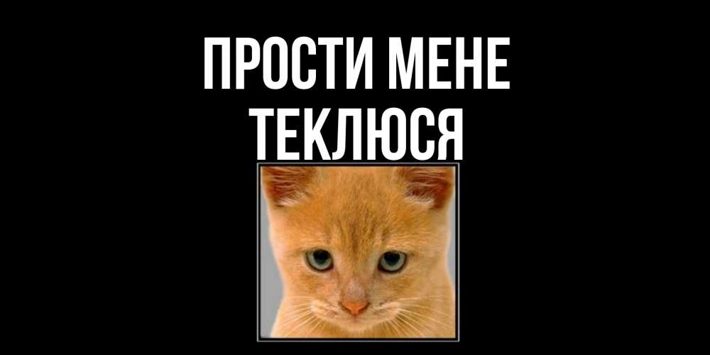 Открытка на каждый день з підписом, Теклюся Прости мене рыжий грустный кот просит прощения Прикольна листівка з побажанням онлайн скачати безкоштовно 
