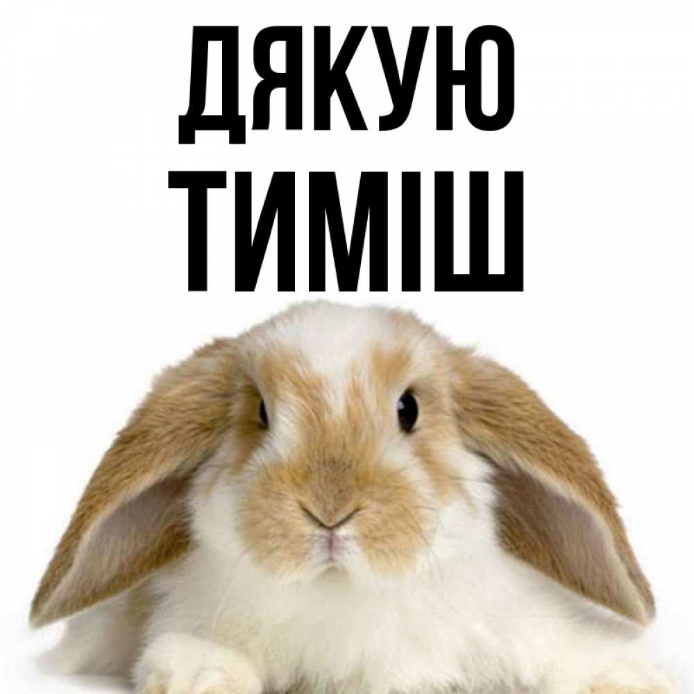 Открытка на каждый день з підписом, Тиміш Дякую коричнево белый заяц Прикольна листівка з побажанням онлайн скачати безкоштовно 