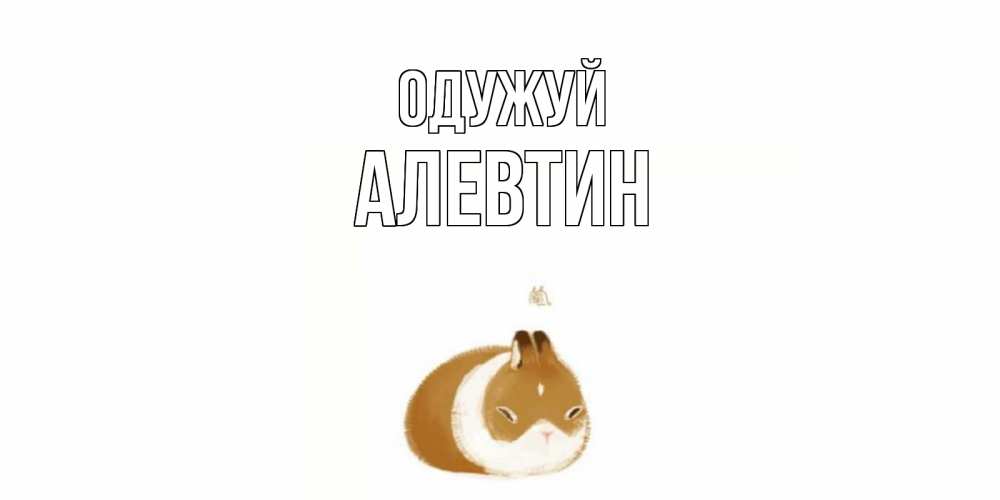 Открытка на каждый день з підписом, Алевтин Одужуй морская свинка на открытке с пожеланиями не болеть Прикольна листівка з побажанням онлайн скачати безкоштовно 