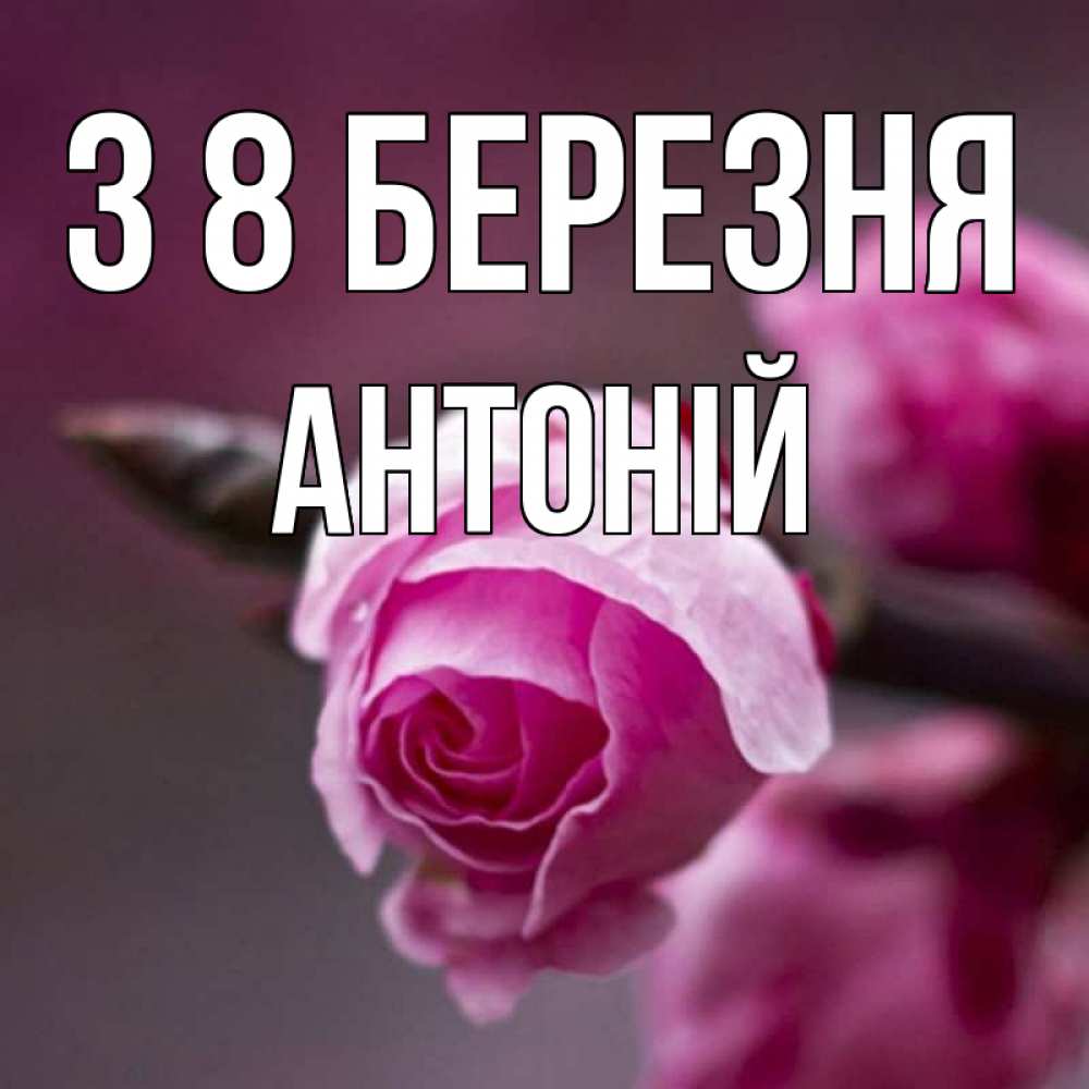 Открытка на каждый день з підписом, Антоній З 8 БЕРЕЗНЯ весна Прикольна листівка з побажанням онлайн скачати безкоштовно 