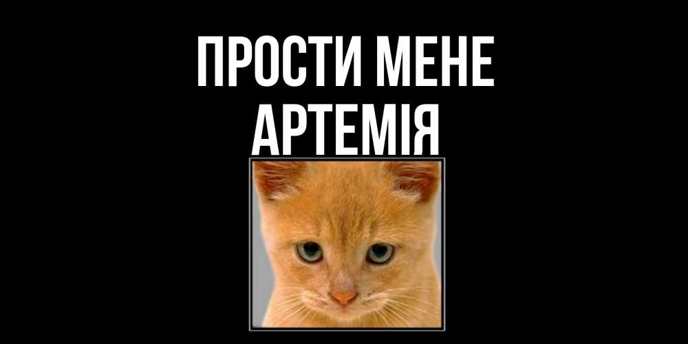 Открытка на каждый день з підписом, Артемія Прости мене рыжий грустный кот просит прощения Прикольна листівка з побажанням онлайн скачати безкоштовно 