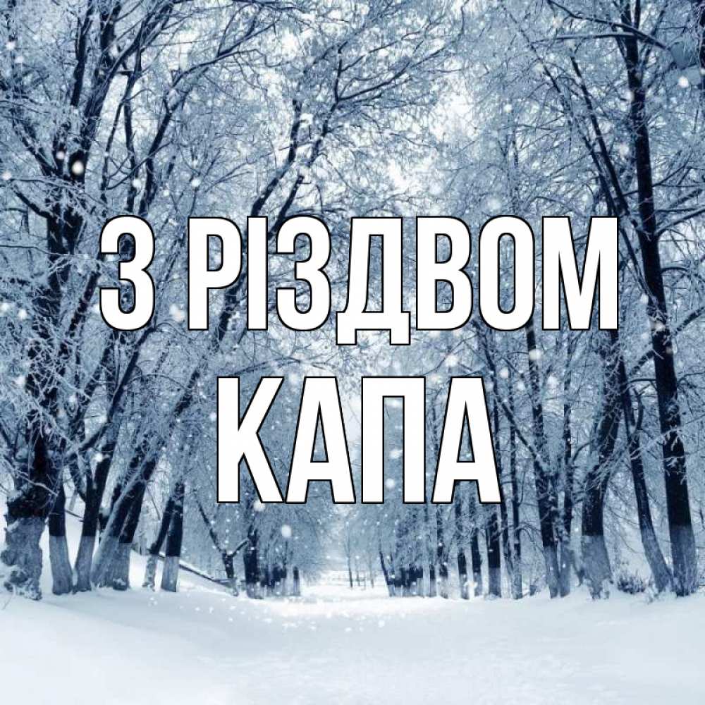 Открытка на каждый день з підписом, Капа З Різдвом снег, лес, парк Прикольна листівка з побажанням онлайн скачати безкоштовно 