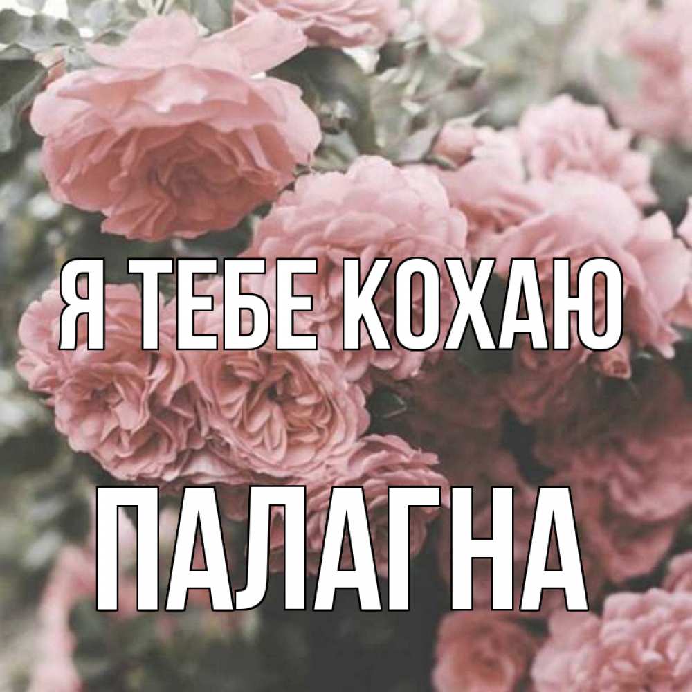 Открытка на каждый день з підписом, Палагна Я тебе кохаю розы 3 Прикольна листівка з побажанням онлайн скачати безкоштовно 