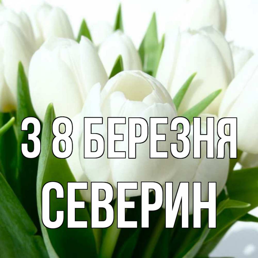 Открытка на каждый день з підписом, Северин З 8 БЕРЕЗНЯ цветы Прикольна листівка з побажанням онлайн скачати безкоштовно 