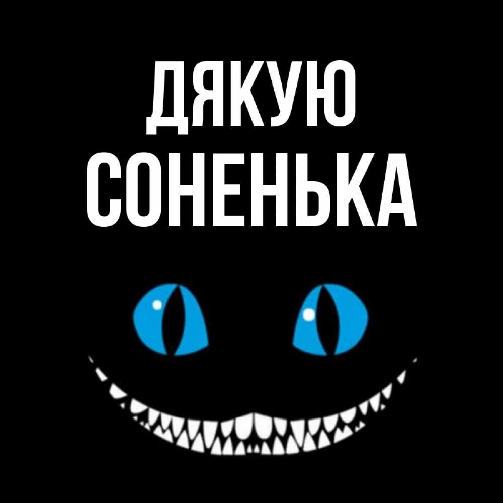 Открытка на каждый день з підписом, Соненька Дякую благодарю от чеширика Прикольна листівка з побажанням онлайн скачати безкоштовно 