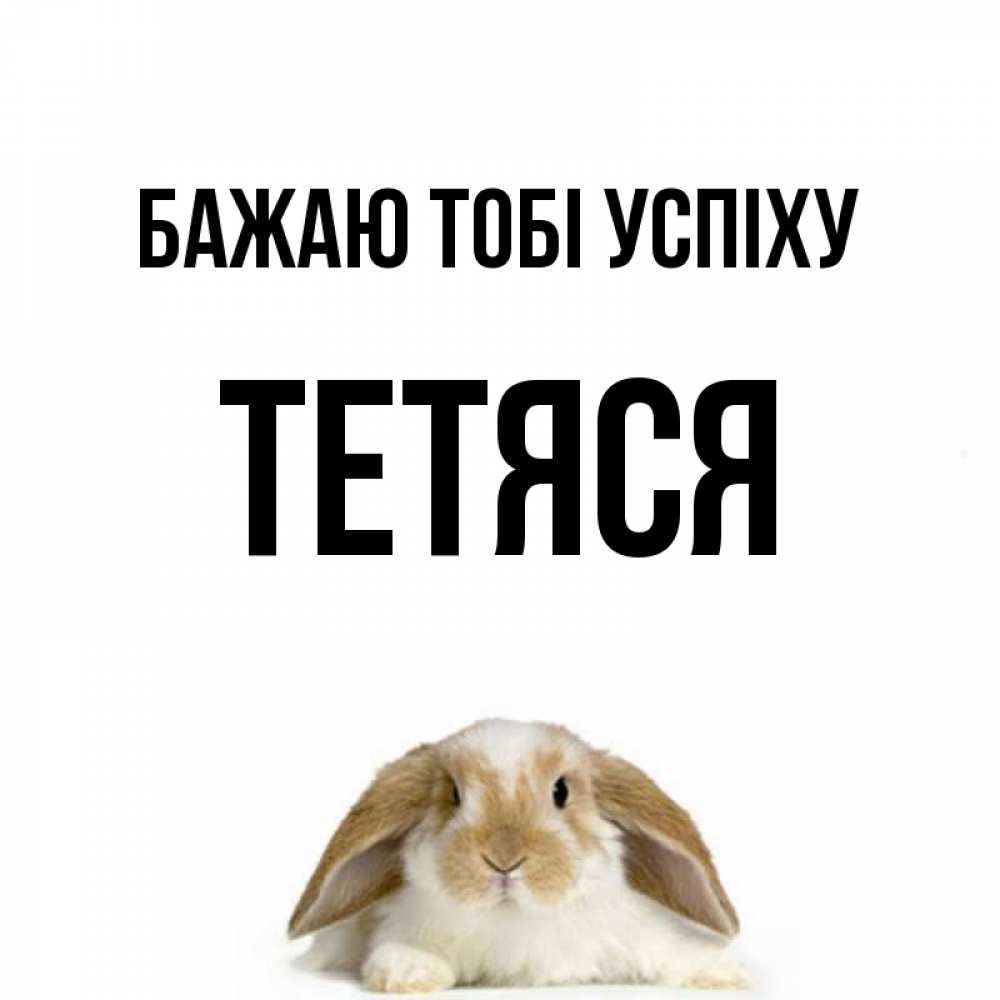 Открытка на каждый день з підписом, Тетяся Бажаю тобі успіху открытки с произвольным текстом который можно вставить в открытку и создать ее самостоятельно бесплатно онлайн Прикольна листівка з побажанням онлайн скачати безкоштовно 