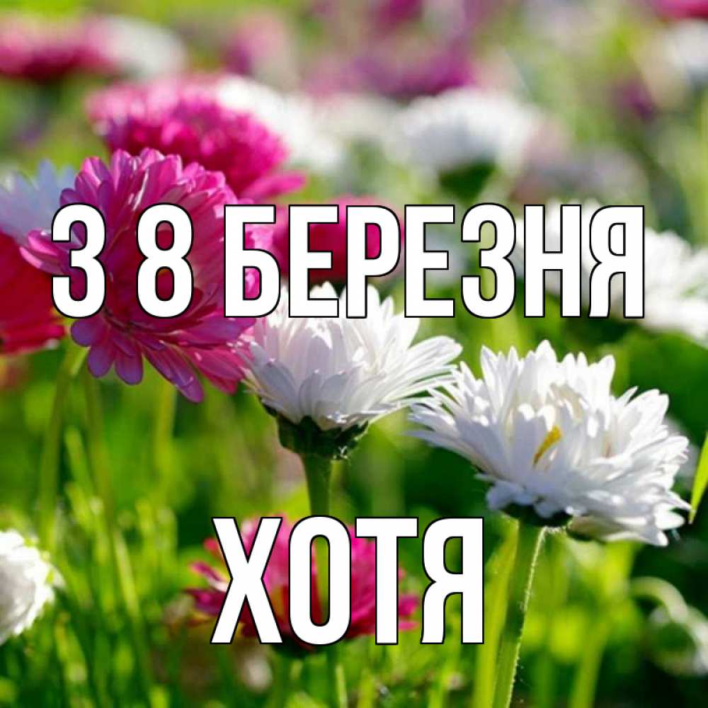 Открытка на каждый день з підписом, Хотя З 8 БЕРЕЗНЯ международный женский день 1 Прикольна листівка з побажанням онлайн скачати безкоштовно 