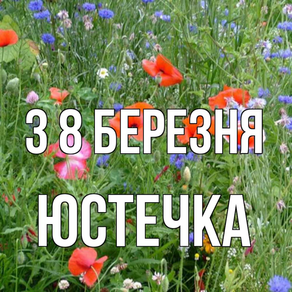 Открытка на каждый день з підписом, Юстечка З 8 БЕРЕЗНЯ международный женский день 4 Прикольна листівка з побажанням онлайн скачати безкоштовно 