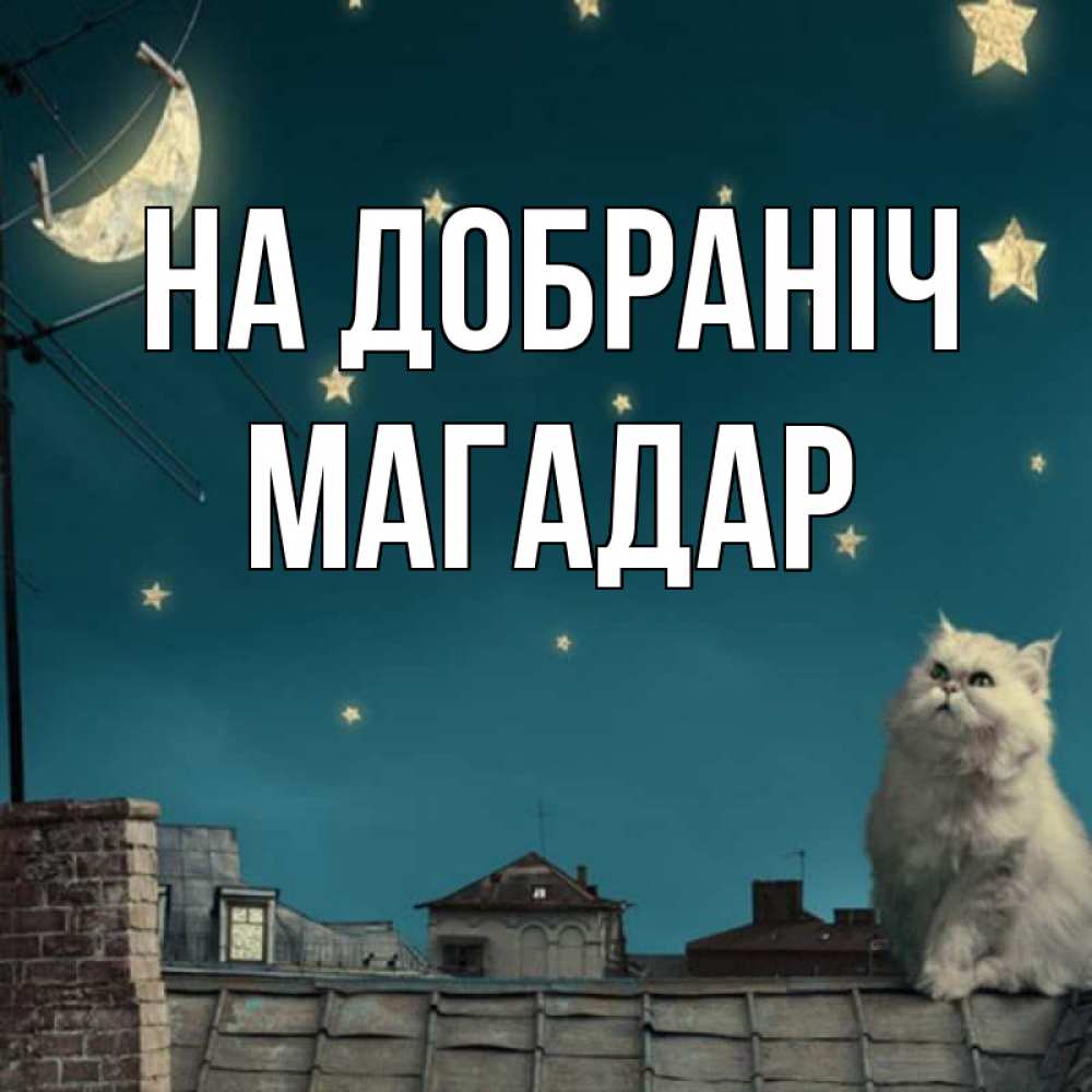 Открытка на каждый день з підписом, Магадар На добраніч белый кот сидит на крыше Прикольна листівка з побажанням онлайн скачати безкоштовно 