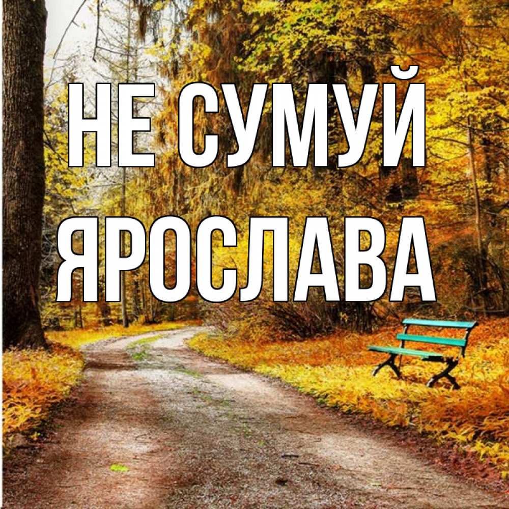 Открытка на каждый день з підписом, Ярослава Не сумуй зеленая лавочка Прикольна листівка з побажанням онлайн скачати безкоштовно 